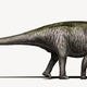 Image for article titled Brontosaurus Should Be Reinstated As A Distinct Dinosaur, Say Scientists